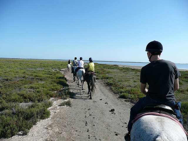 Camargue Paardrijden