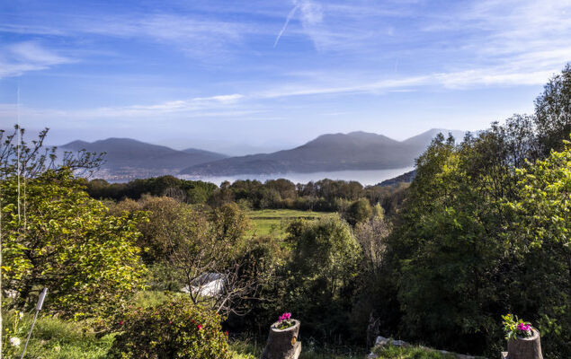 La Primavera - Photo 21