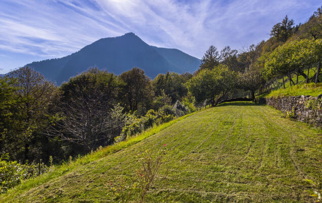 La Primavera - Photo 22