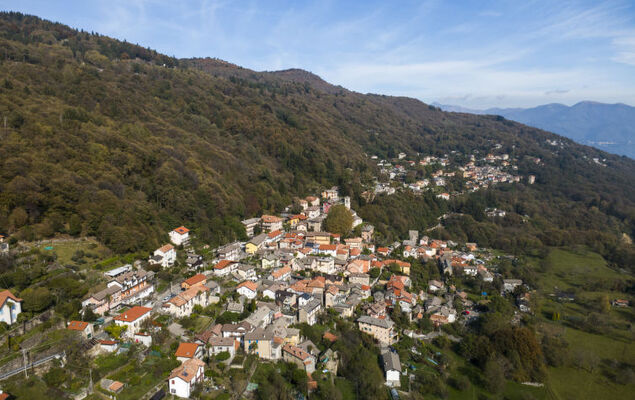 La Primavera - Photo 27