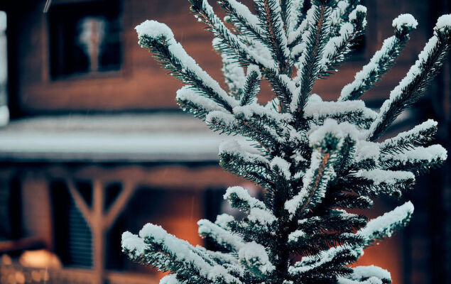 Sissis green Chalets - Photo 27