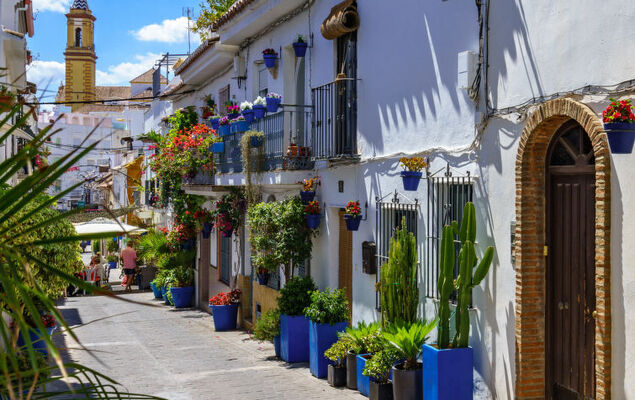 Cortijo del mar - Photo 17