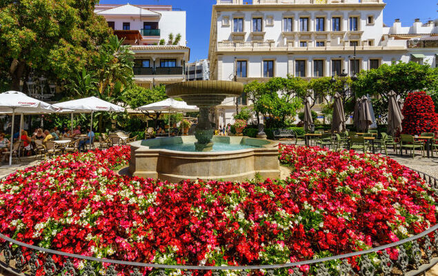 Cortijo del mar - Photo 18