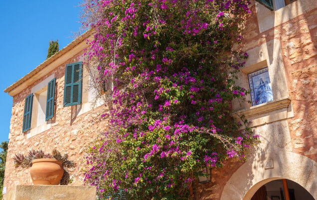 Gran Llombards - Photo 41