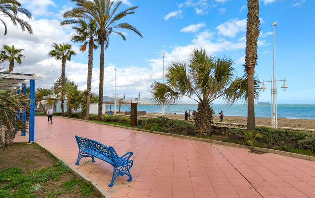 Malaga Pacifico - Photo 24