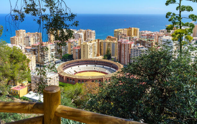 Malaga Pacifico - Photo 31