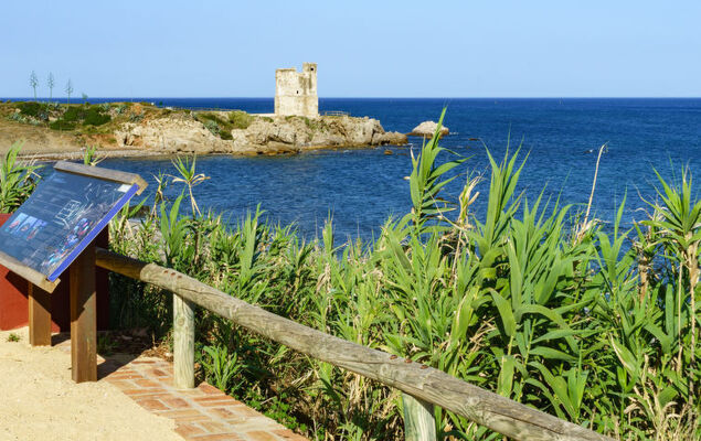 Aldea Hills - Photo 34