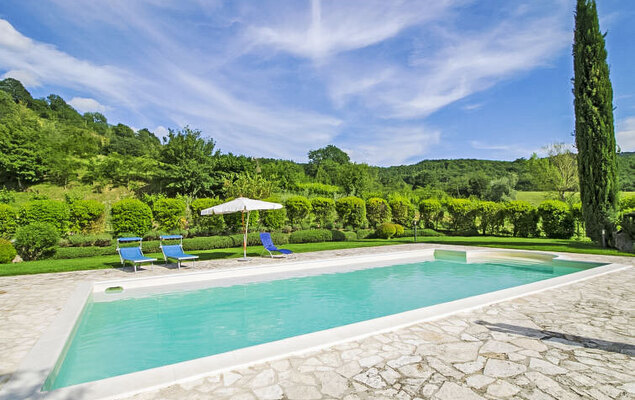 Sunflower - Photo 22