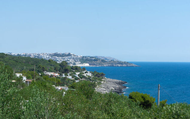 Cicala-Villa Anna - Photo 18