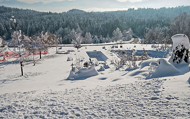 Carinthia - Photo 25