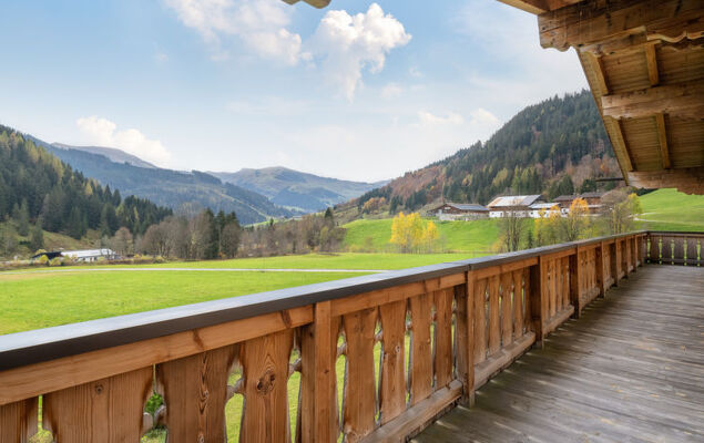 Orleans 1 - Photo 21